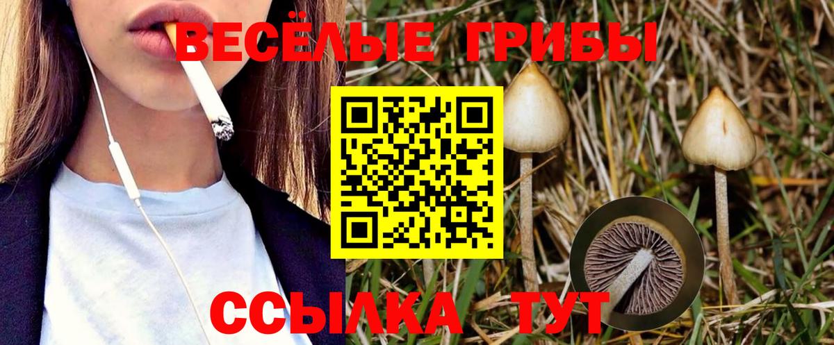 Бутурлиновка  Галлюциногенные грибы GOLDEN TEACHER  Вход с VPN 