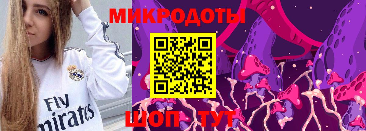 Псилоцибиновые грибы Psilocybine cubensis Бутурлиновка